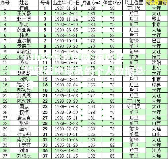 国内足球联赛中球员的个人数据总结